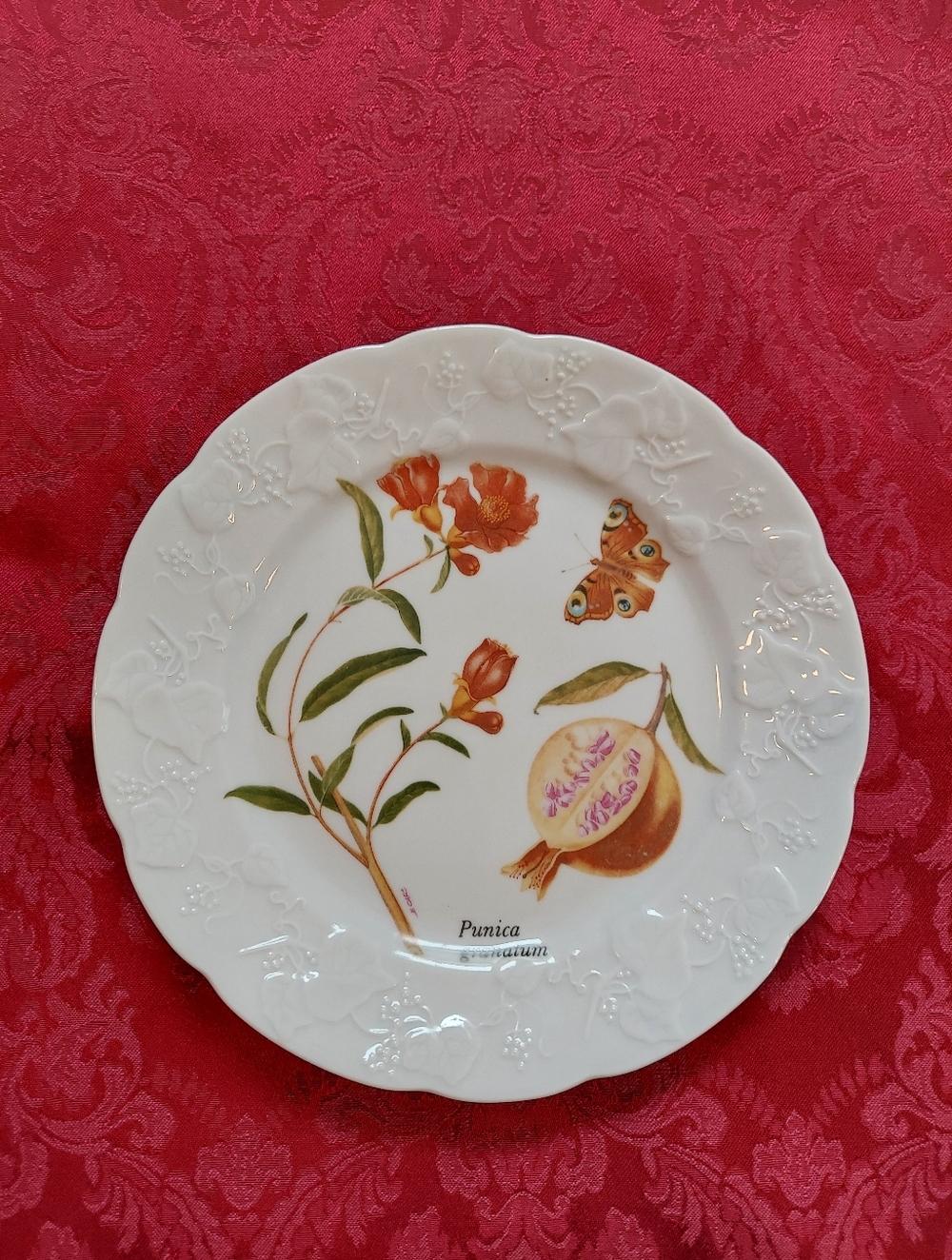 Lierre Lauvage French Salad Plate